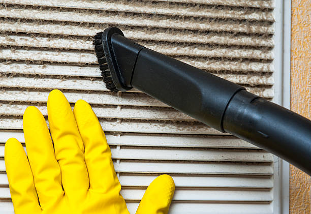 Best Air Duct Mold Removal  in Van Vleck, TX